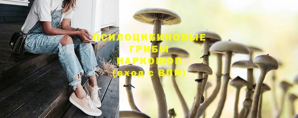 гашик Абинск