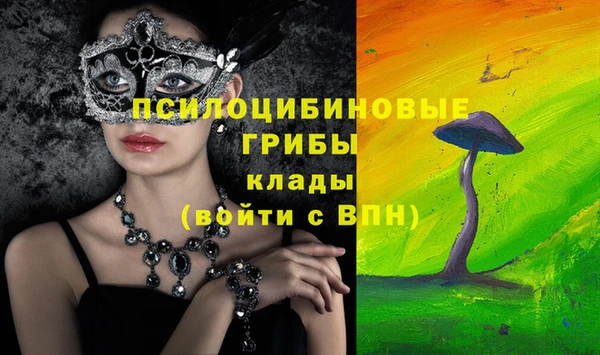 гашик Абинск